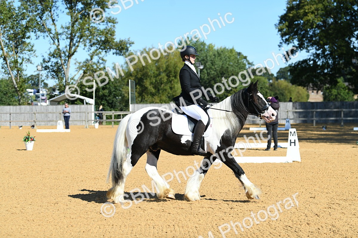 SBM_18210 - D4 - Small Tour Championship - Intro B