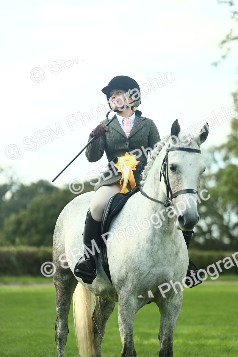 SBM_52231 - S33 - Working Hunter & Working Show Horse
