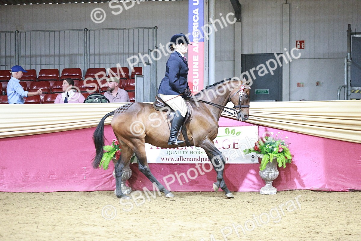 SBM_08028 - Class 11R - Regional Ridden Veteran