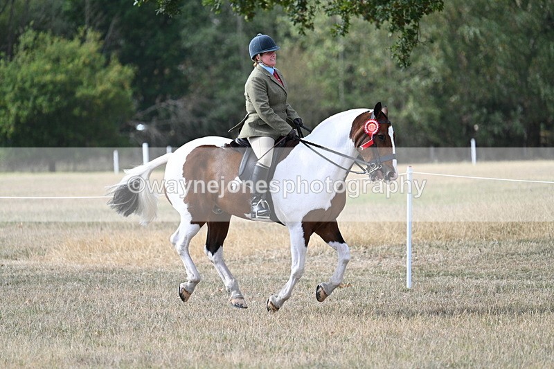 WJ7_7730 - Ridden Championship