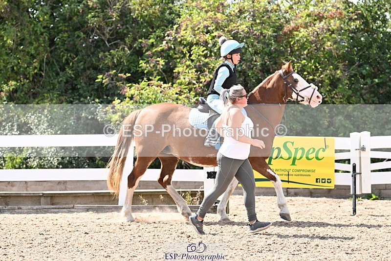 250821B-143012-00785 - Group D - Thomasina