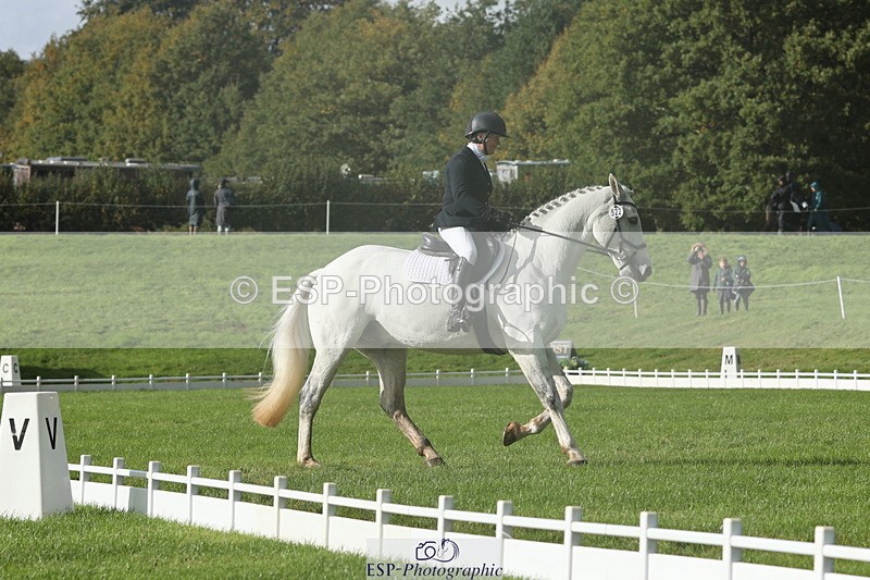 251023A-143813-05000 - G-522-Sue.Parkes Inc Trot Up