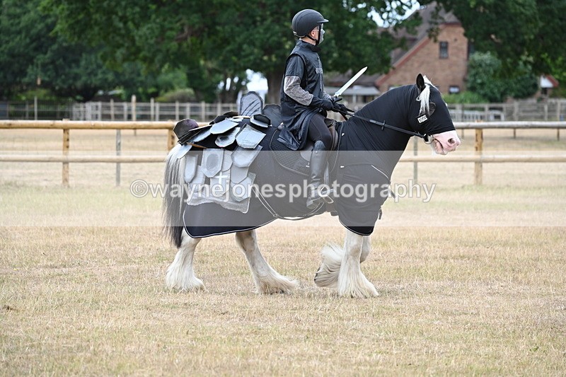 WJ6_8837 - Class 11 Fancy Dress