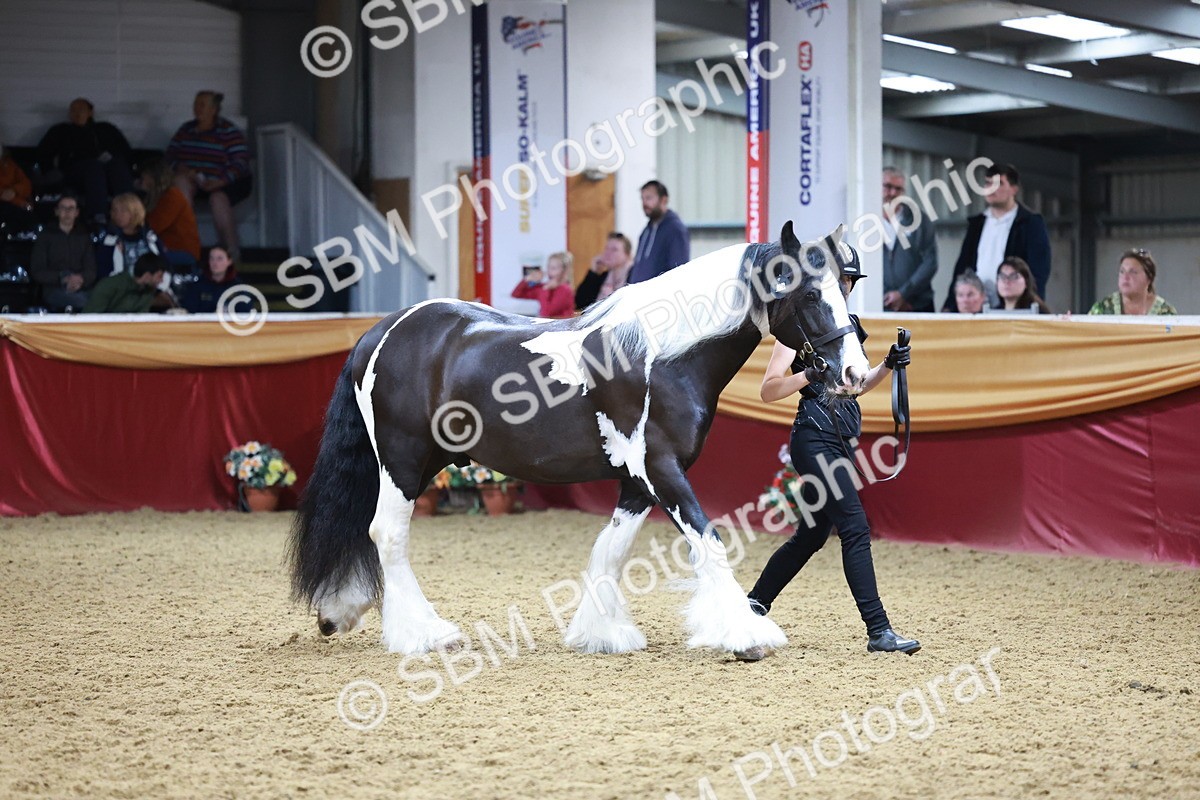 SBM_20096 - Class C - Novalty Champ