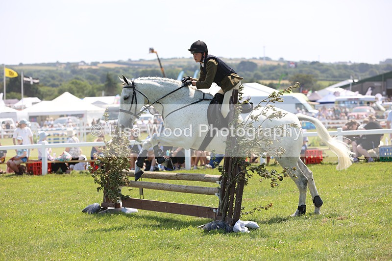 JPP_3179 - Class 22: Working Hunter 70cm