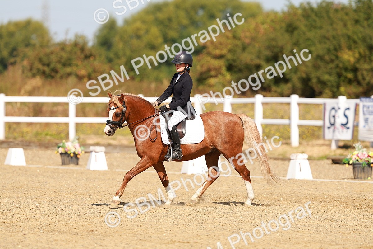 SBM_017561 - Class 9 - N5 Bronze 10.33.11.36