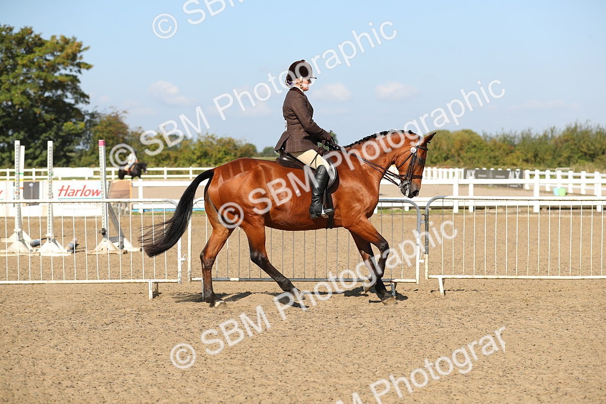 SBM_02232 - Class 43 Ridden Competition Horse/Pony