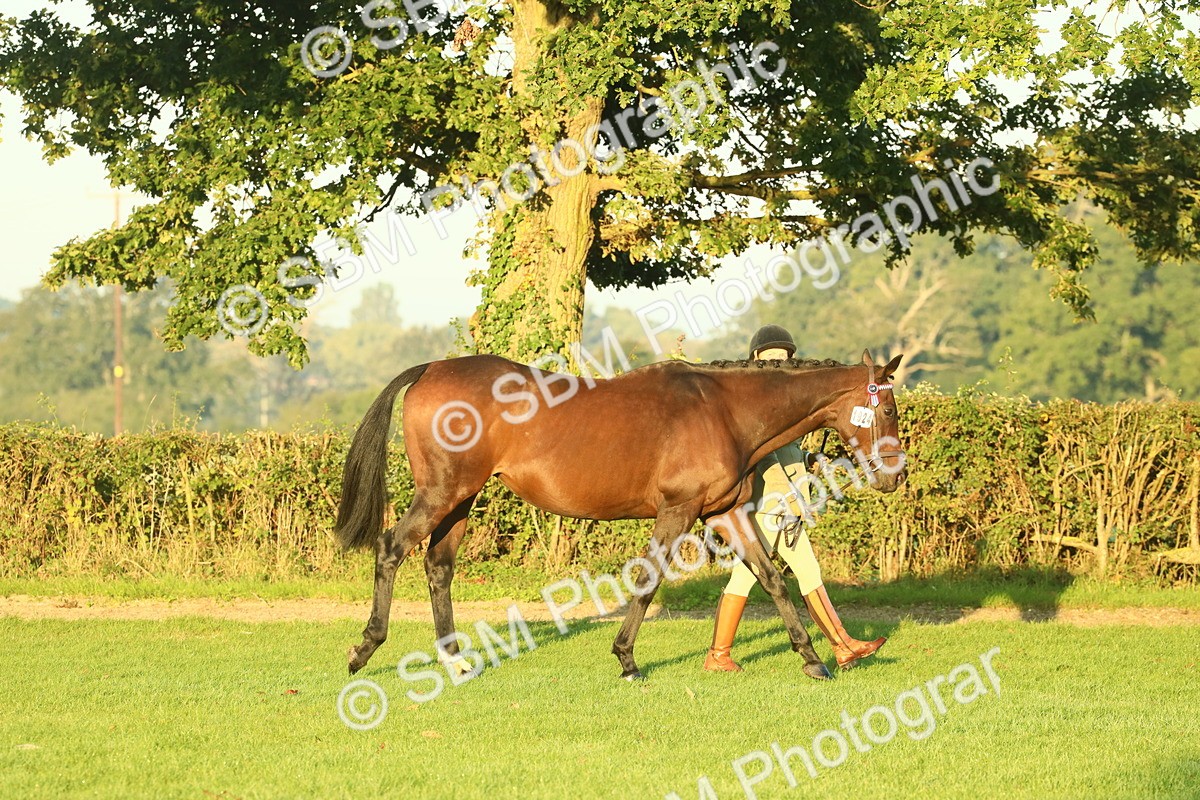 SBM_56501 - S36 - Starters Best Turnout