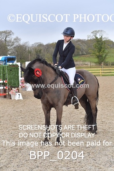 BPP_0204 - CLASS 1 FRI Club/ Unaffiliated 80cms Open