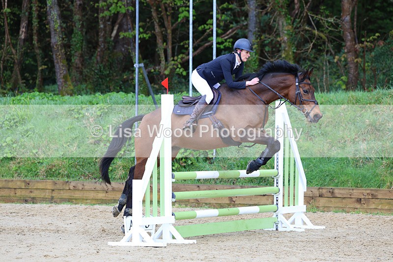 3E7A0705 - Class 4: Senior British Novice/90cm open