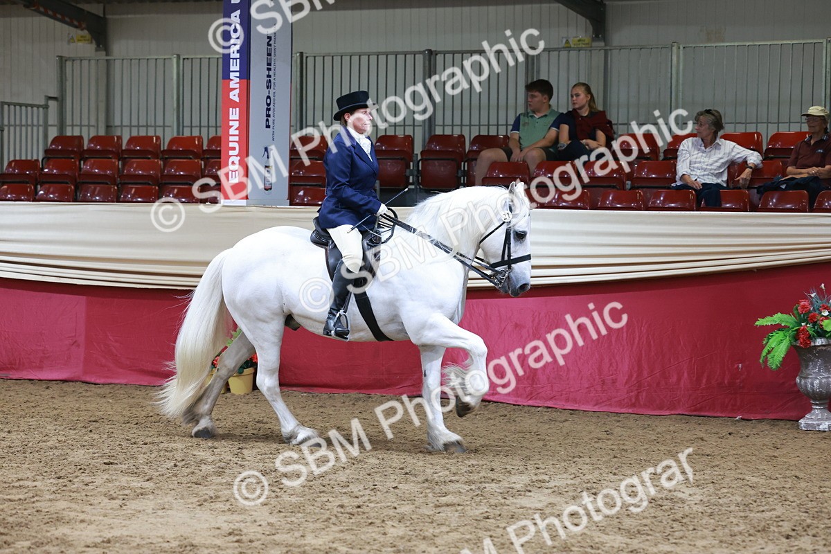 SBM_18545 - Class 952 - M&M Ridden Supreme Final