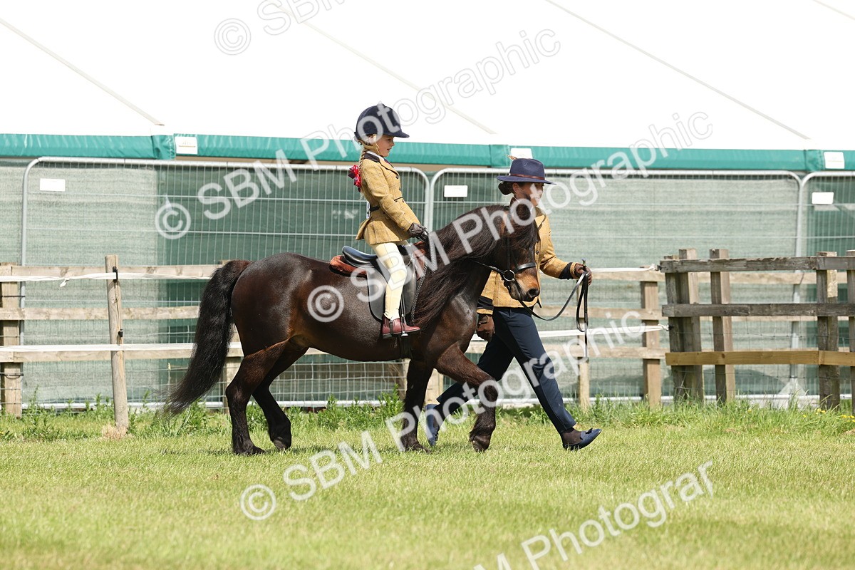 SBM_05160 - Class 24-25 - Mountain & Moorland In Hand Lead Rein and First Ridden