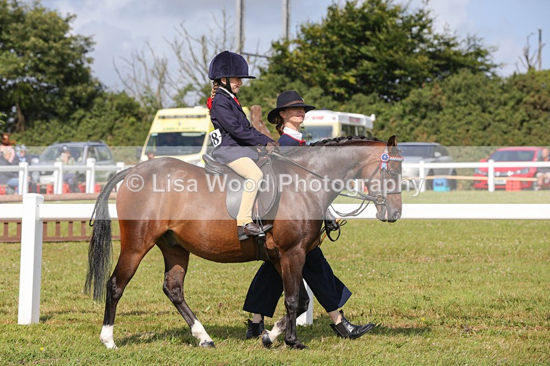 1X9A3554 - Class 29: Lead Rein SP/SHP