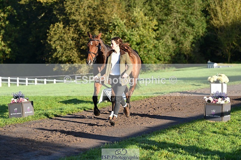 231022-091428-21640 - 605-SPORTSFIELD.U2-Katie.Corbin-TrotUp+SJ