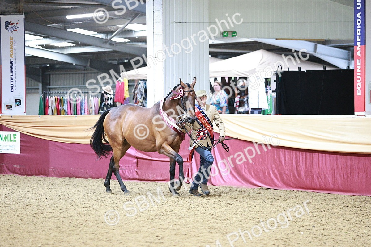 SBM_06677 - Regional - IH Champs