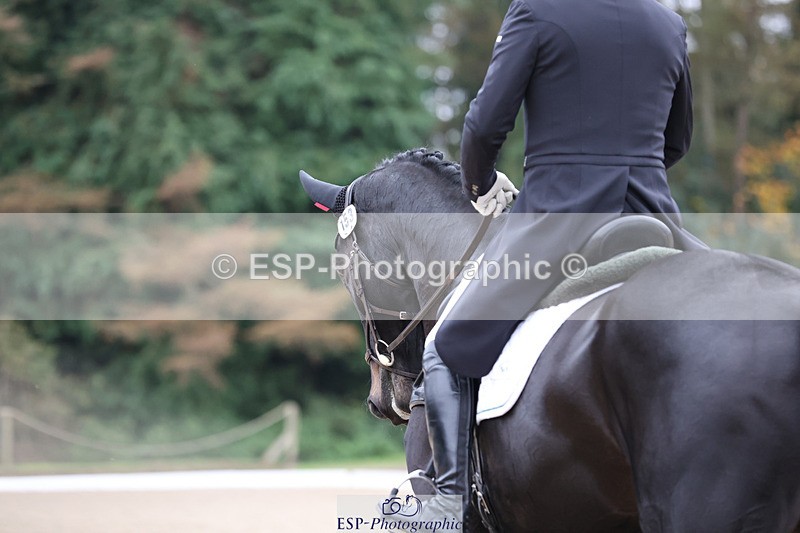 241024-135325-03739 - 153-Matthew.Heath-HARLYN.BAY