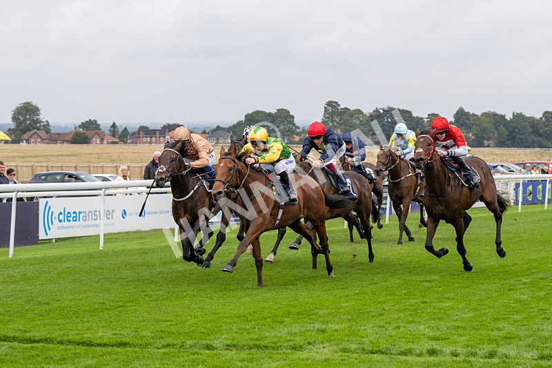 240924-Race 2-The Trickster-5931 - Race 2