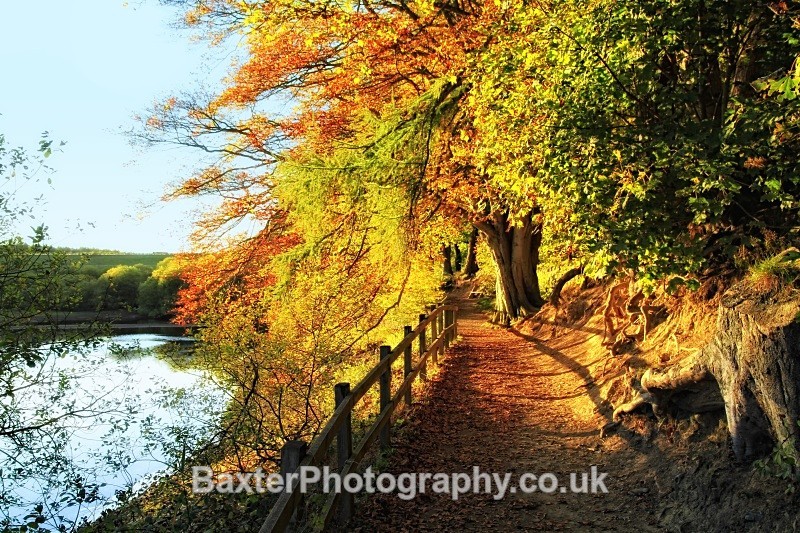 Autumn Around Swinsty - Views Around Harrogate: