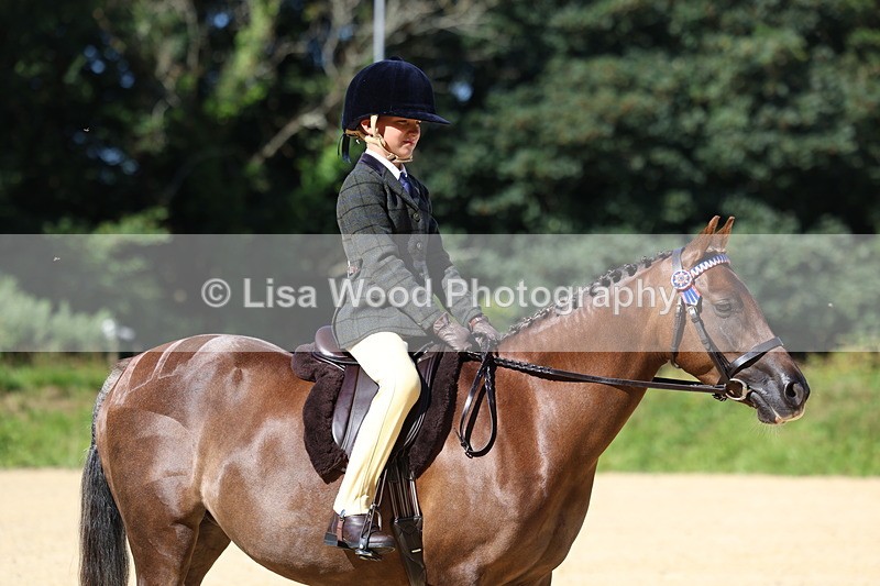 3E7A7924 - Class 14: Tack and Turnout