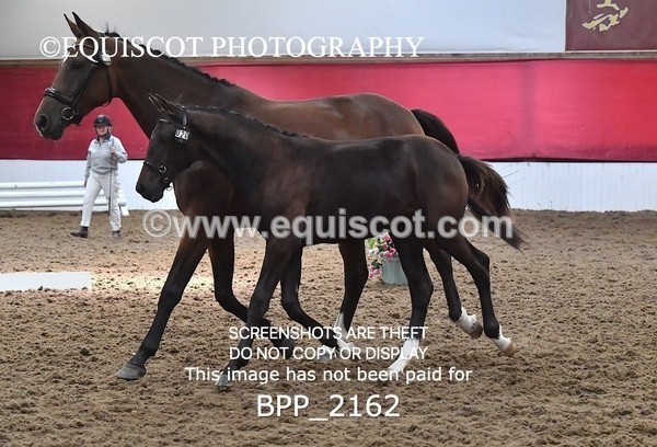 BPP_2162 - AFTERNOON 12.30 - 3.30PM