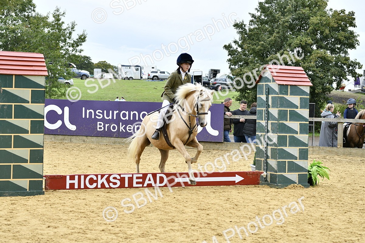 SBM_65397 - J2a mini Tour Junior Pony 30cm Championship
