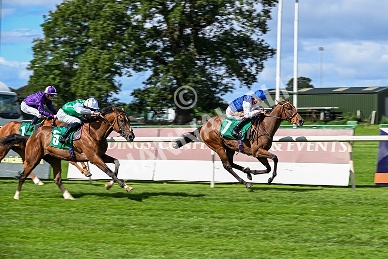 050926-Race 1-Prince Kameo-2597 - Race 1 1.35pm Personal Touches Day Of Elegance Nursery Handicap
