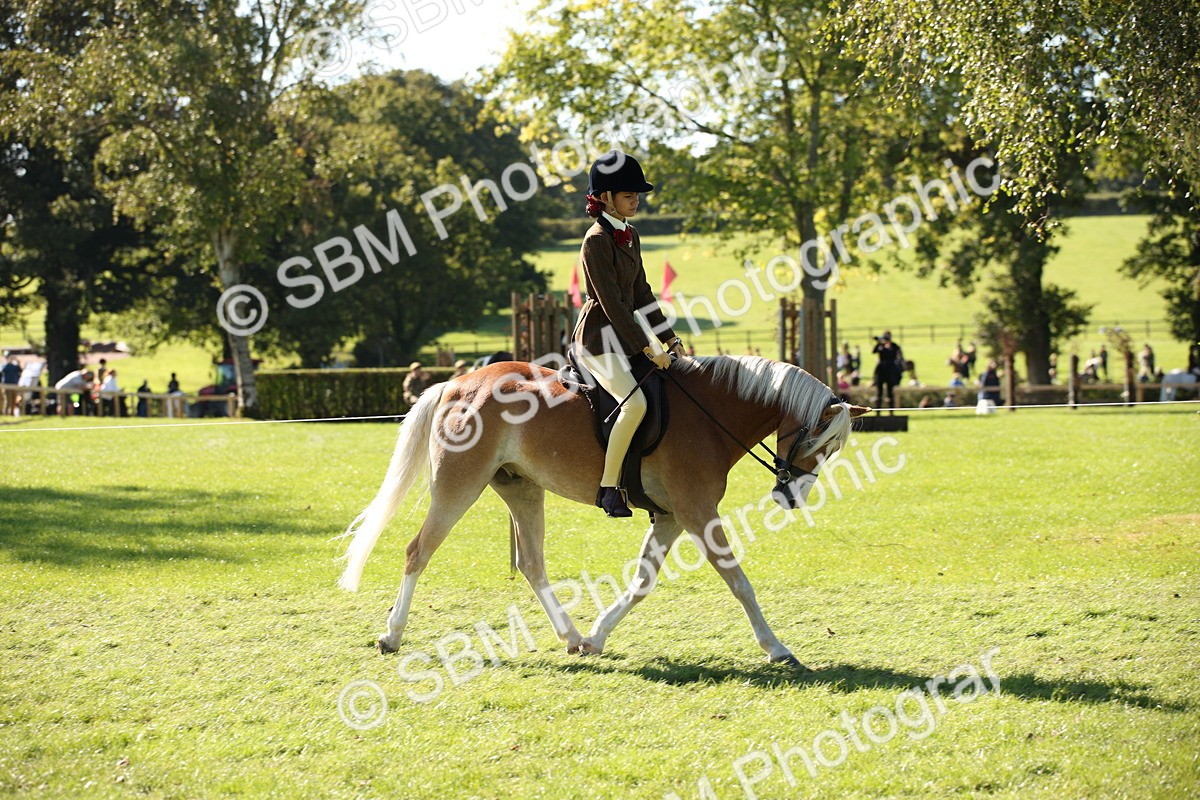 SBM_38968 - S11 - Best Ridden Horse & Pony