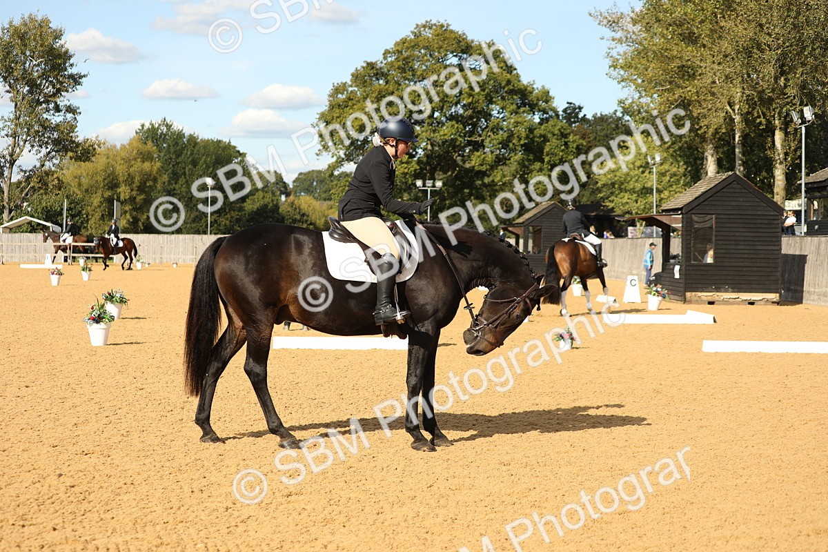 SBM_26679 - D17 - Grand Tour Championship - Novice 27
