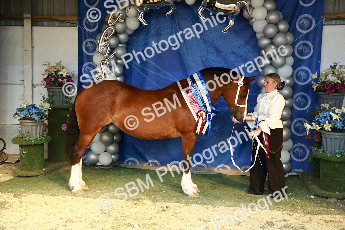 SBM_17979 - M&M Supreme Final Champ