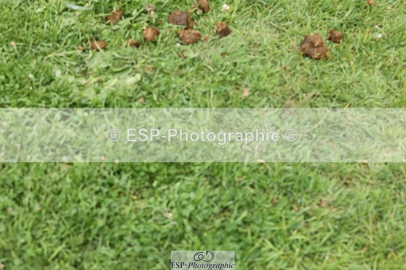 240704-112202-02323 - Cls 1 Foxhunter