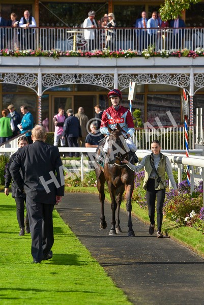 230923-Race 5-Vintage Clarets-6821 - Race 5 4.20pm Vickers.Bet Handicap