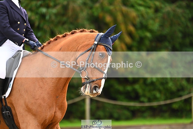 231021-095214-12612 - 227-DHI.GERARD.NITA-Danielle.Watt-DR