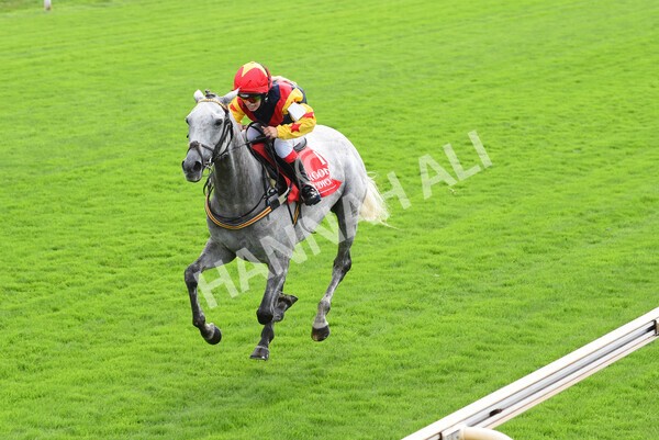yr04092022p1-57 - 12.30pm 148cm Conditions Pony Race