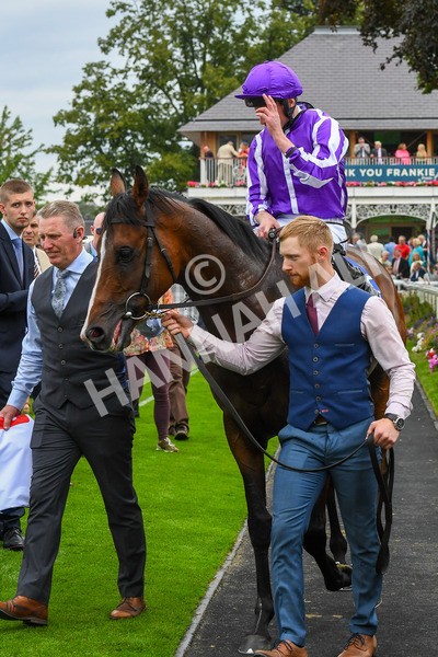 230823-Race 3-Continuous-0498 - Race 3 3.00pm Sky Bet Great Voltigeur Stakes