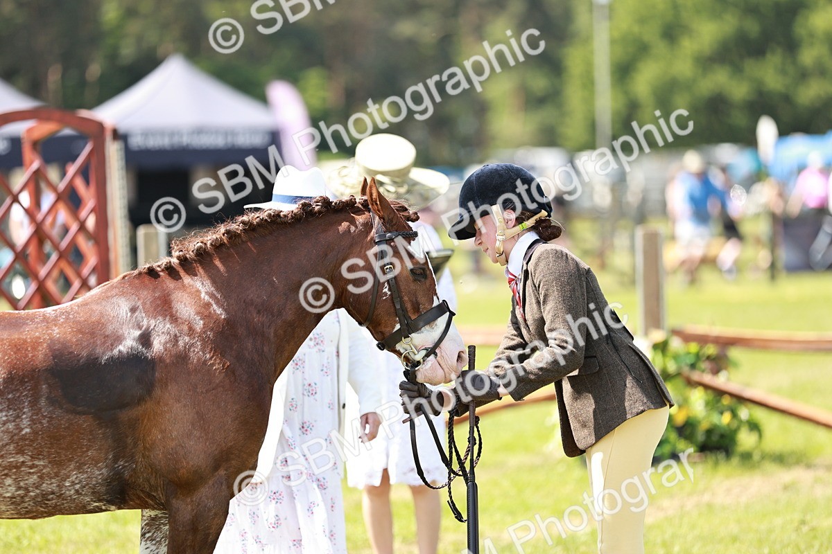 SBM_15558 - Class 108-109 - BSPS LIHS Open Gradle & Nursery Stakes