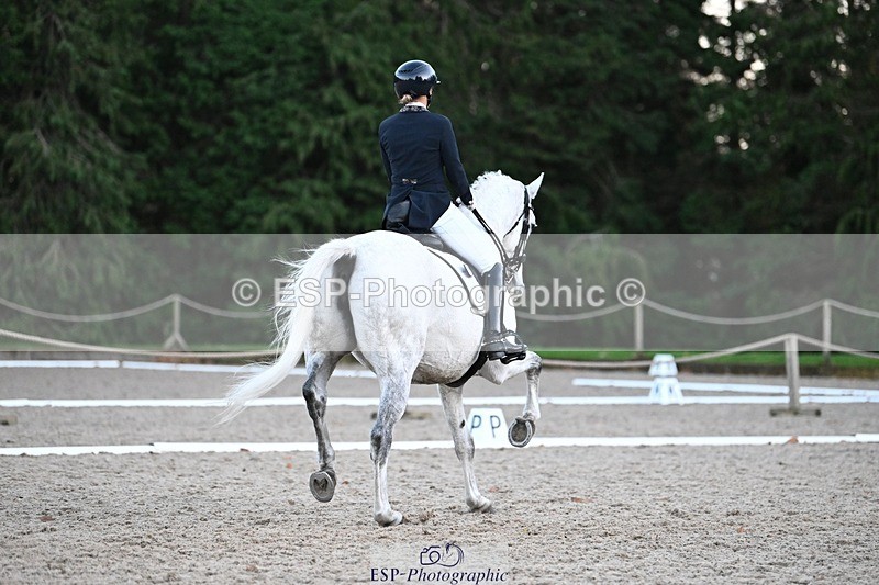 231110-162536-02604 - Cls 14 FEI Grand Prix