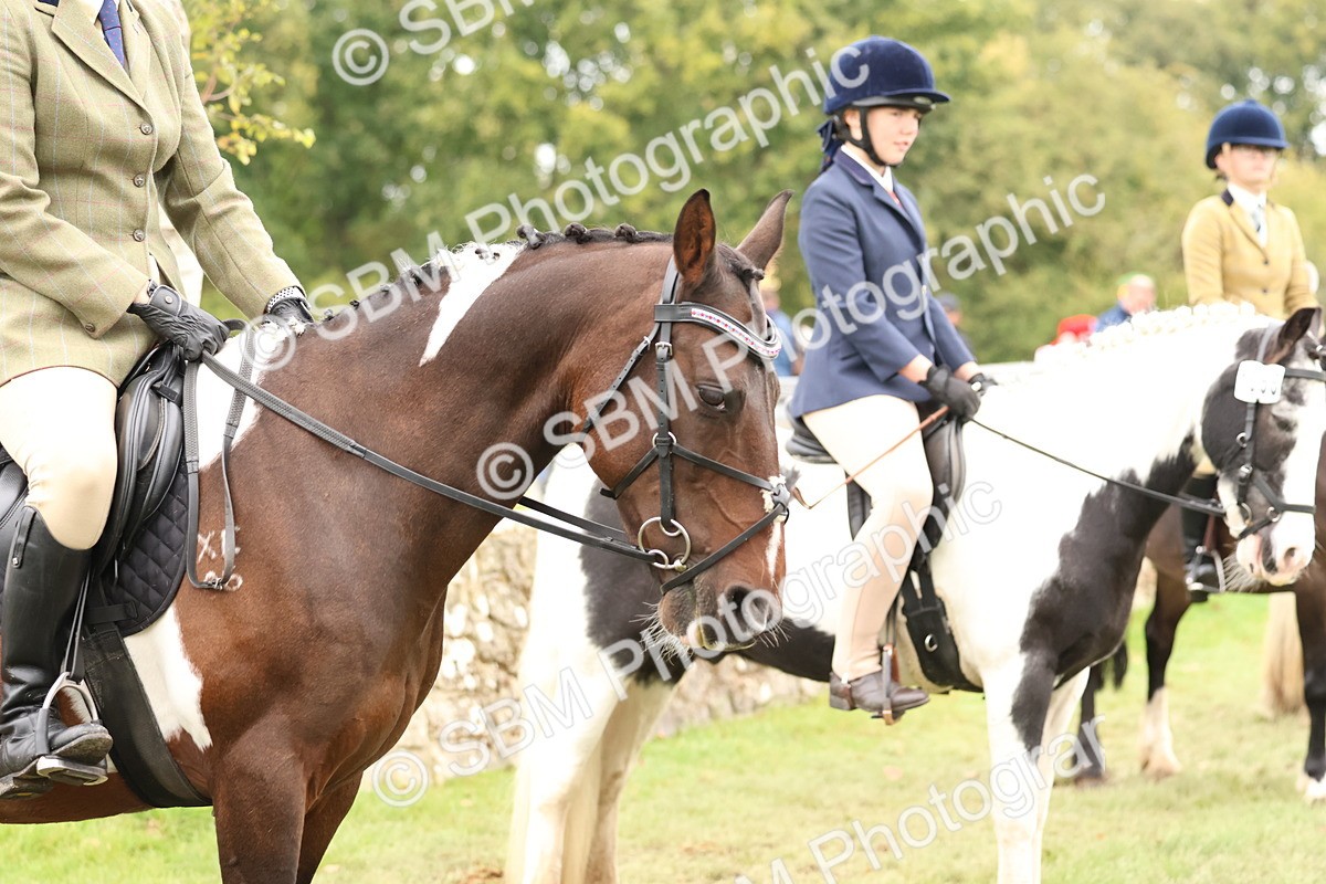 SBM_59988 - S36 - Rehabiliated Rescue Horse & Pony In Hand & Ridden