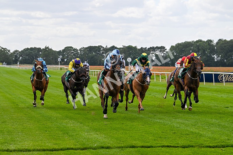 030824-Race 3-Alligator Alley-1656 - Race 3