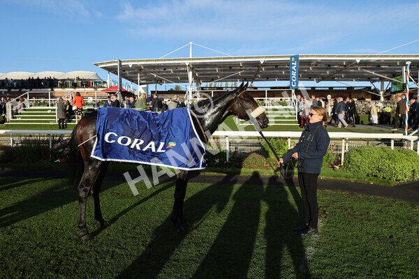 yr08102022r7-63 - Race 7 5.00pm The Coral Gets You Closer To The Action Stakes