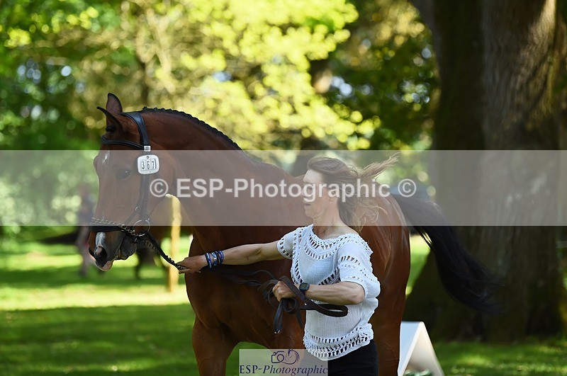 230524-154106-00436 - 367-ITAREUSO-Louisa_Lockwood-WEDTrotUp+DR