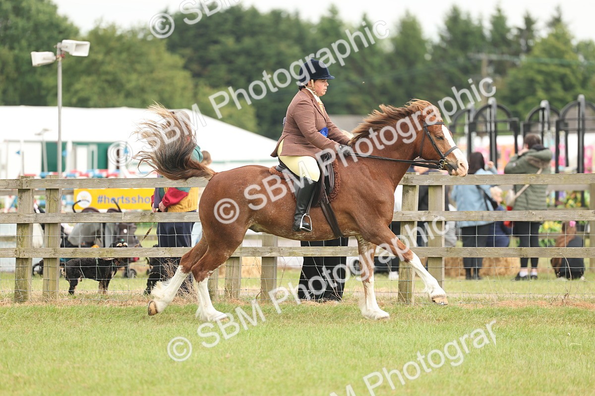 SBM_09131 - Class 78-80 - Ridden M&M Non Welsh Ponies