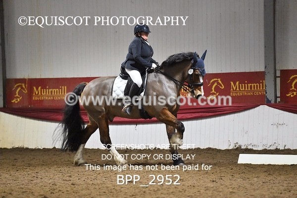 BPP_2952 - ELEM TEST 4