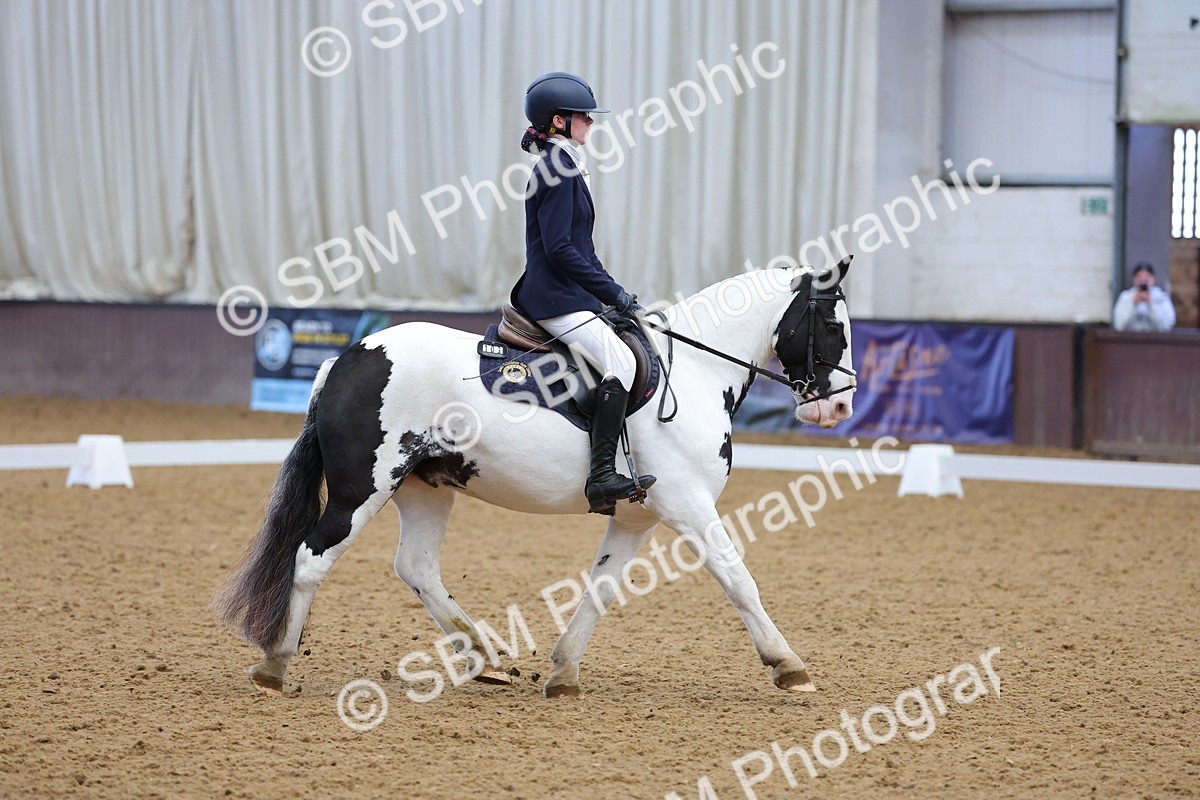 SBM_003069 - Novice
