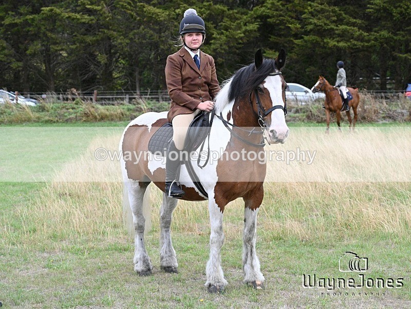 WJ7_0675 - Berks & Bucks Hound Exercise Blewbury 13-09-26