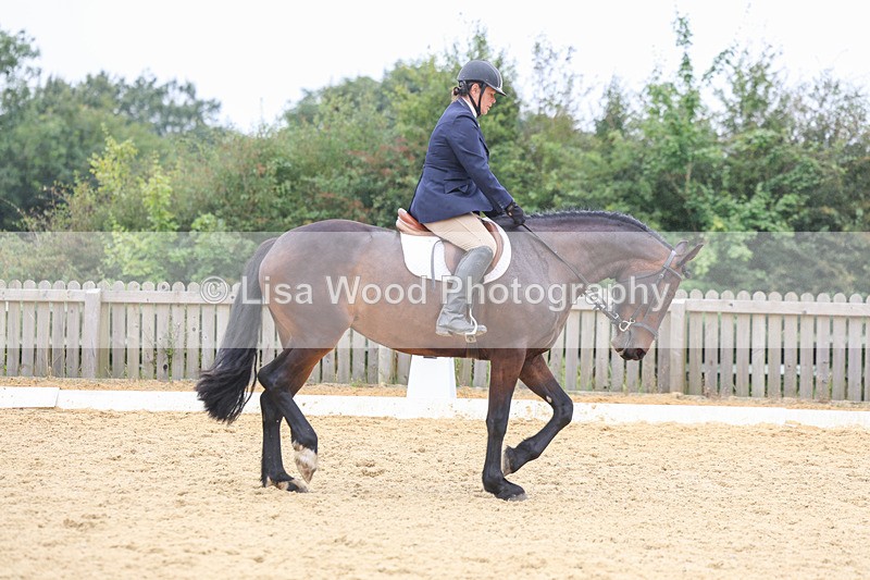 3E7A5520 - Class 2: Intro 4 2024 section B