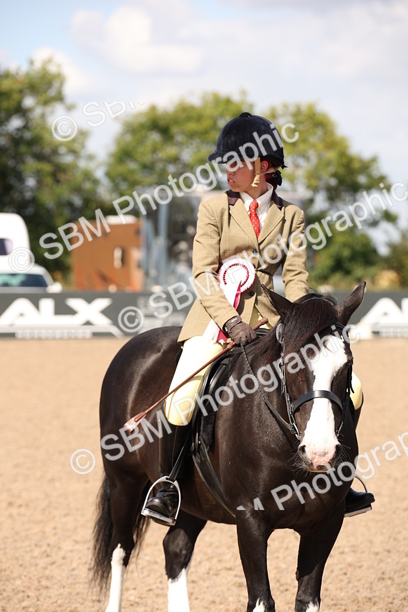 SBM_03077 - Class 17 Prettiest Mare IH or Ridden
