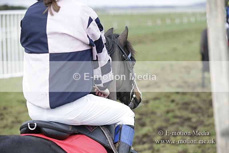 PtP 150320 0748 - New Forest Point-to-Point Larkhill 15/03/20