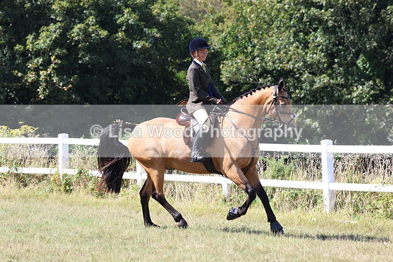 3E7A6381 - Working Hunter Championship