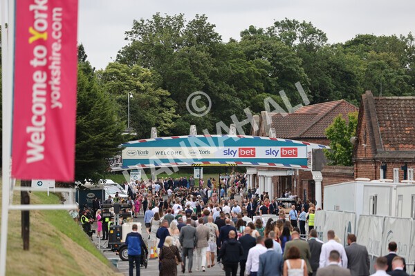 yr24072021r5-2 - Race 5 4.25pm Sky Bet Best Odds Guaranteed Stakes