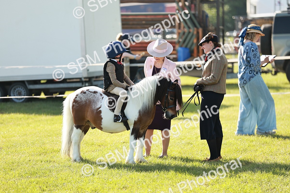 SBM_11175 - Class 106-107 - BSPS LIHS Working Sports Pony